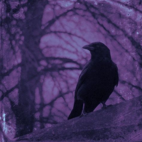 Necromancy Aesthetic Purple, Dark Purple And Red Aesthetic, Purple Queen Aesthetic, Dark Purple Grunge Aesthetic, Purple Royalty Aesthetic, Royal Purple Aesthetic, Purple Vampire Aesthetic, Dark Purple Grunge, Purple Gothic Aesthetic