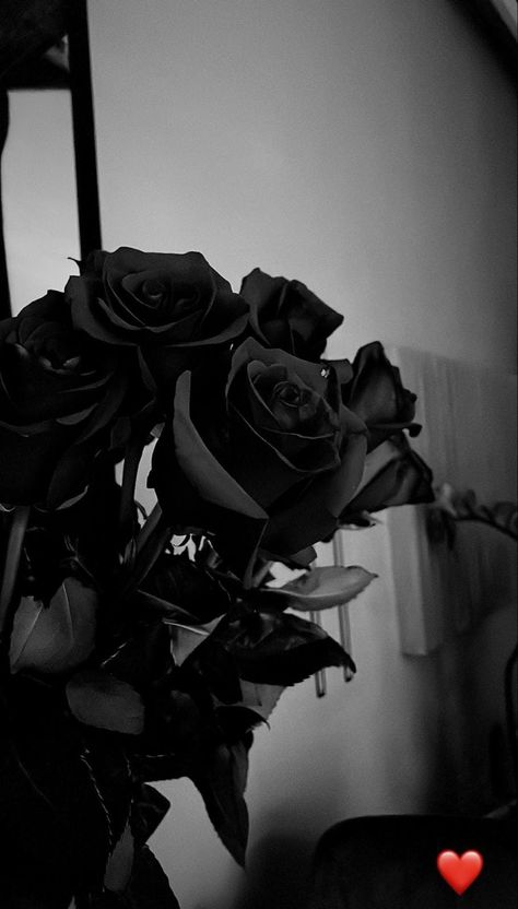 Wallpaper Mawar, Black Rose Bouquet, Black And White Wallpaper Iphone, Black Roses Wallpaper, Black Rose Flower, Photos For Profile Picture, Rosé Aesthetic, Pretty Phone Wallpaper, Simple Phone Wallpapers