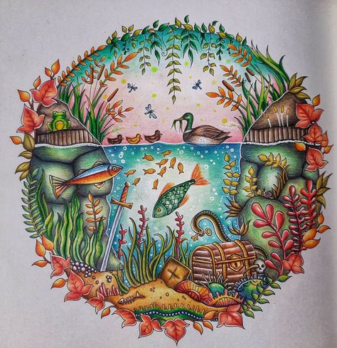 Enchanted Forest Johanna Basford, Enchanted Forest Coloring Book Johanna Basford, Johanna Basford Books, Basford Enchanted Forest, Forest Coloring Book, Forest Coloring, Enchanted Forest Coloring Book, Johanna Basford Enchanted Forest, Enchanted Forest Coloring