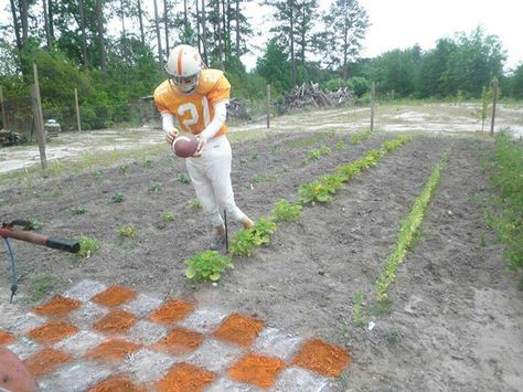 Tennessee Volunteers scarecrow. He wants a touchdown! University Of Tn, Tn Football, Tennessee Vols Football, Garage Outdoor, Vols Football, Tn Vols, Orange Country, Tennessee Football, Go Vols