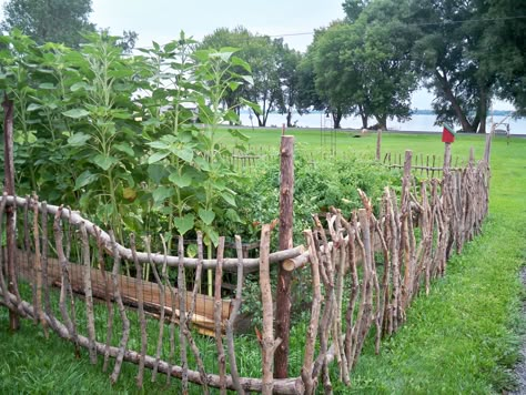 Stick Fence, I love this!! ST won't go for it though :/ Stick Fence, Rustic Garden Fence, Pergola Diy, Diy Garden Fence, Rustic Fence, Diy Fence, Have Inspiration, Backyard Fences, Fence Ideas