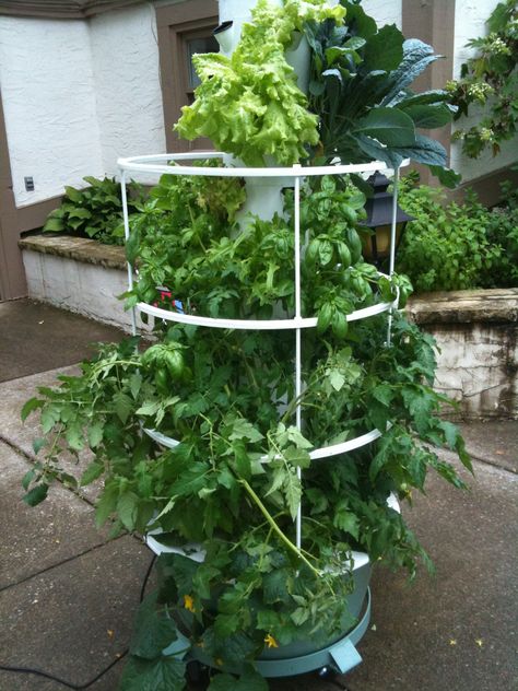 Juice Plus Tower Garden, Butterfly Garden Design, Tower Garden, Garden Images, Juice Plus, Vegetable Garden Design, Edible Garden, Butterfly Garden, Garden Patio Furniture