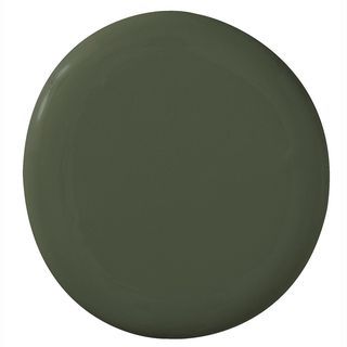 Sherwin-Williams Secret Garden SW 6181 Sherwin Williams Urban Garden, Secret Garden Sherwin Williams, Sherwin Williams Secret Garden, Kitchen Cabinet Stain Colors, Colored Doors, Timeless Paint Colors, Paint Color Inspiration, Favorite Paint Colors, Green Paint Colors