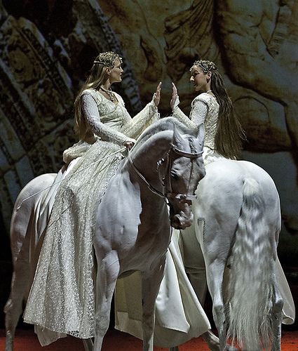 Cavalia - Mirror Horse Costumes, Beautiful Horse, Beautiful Princess, White Horses, Pretty Horses, Arte Fantasy, Horse Love, Pose Reference Photo, White Horse