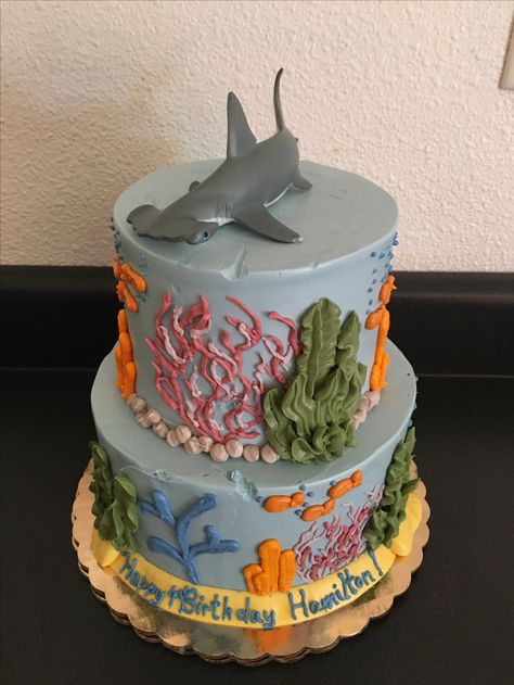 Shark Cake Aesthetic, Hammerhead Cake, Cute Shark Cake, Hammerhead Shark Cake, Shark Week Cake, Shark Cake Ideas, Ocean Theme Cake, Ocean Themed Cake, Shark Themed Cakes