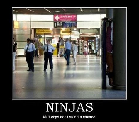 Funny Pictures - Can you see it Mall Ninja, Mall Cop, When U See It, Can't Stop Laughing, Laughing So Hard, Look At You, Funny Pins, Barack Obama, Bones Funny