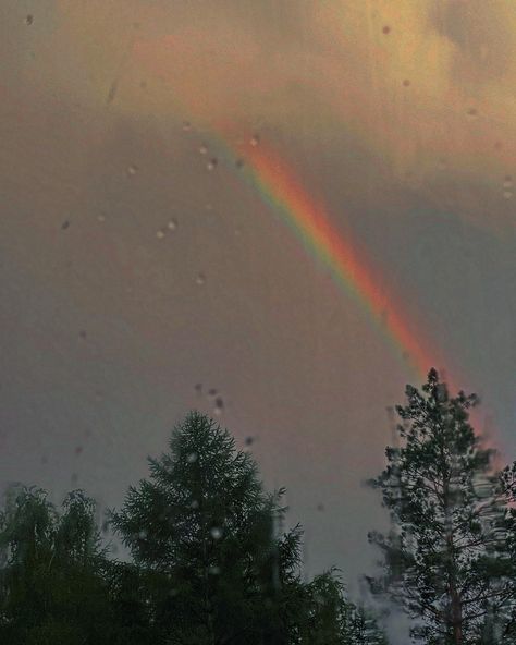 Rain, summer, rainbow Rain And Rainbow Aesthetic, Rainbow Photography Nature, Nature Rain, Rainbow Photography, Rainbow Rain, Rainbow Aesthetic, Photography Nature, Northern Lights, Rainbow