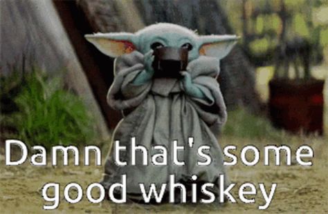 Damn That Is Some GIF - Damn ThatIsSome Good - Discover & Share GIFs Yoda Gif, Yoda Images, Geek House, Yoda Meme, Star Wars Meme, Yoda Wallpaper, Star Wars Gif, Star Wars Yoda, Star Wars Fandom