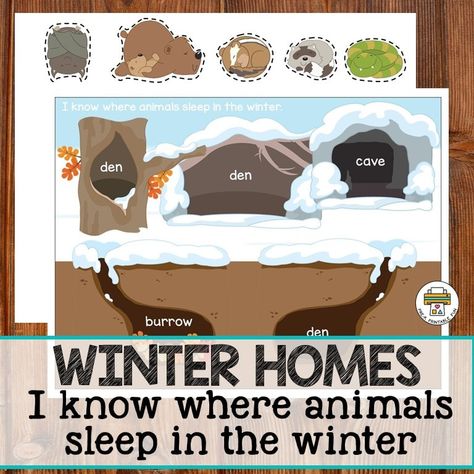 Preschool Bear Hibernation Activities, Animals In The Winter Preschool, Pre K Hibernation Activities, Bears And Hibernation Preschool, Free Hibernation Printables, Pre K Arctic Animals, Hibernation Activities Preschool, Hibernation Activities For Toddlers, Animal Activities Preschool