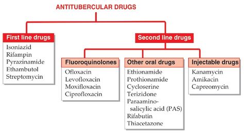 TB Drugs Tb Nursing, Pediatric Surgeon, Study Stuff, Pharmacy Student, Pharmacology Nursing, Medical Facts, Nursing Notes, Nursing Student, Med School