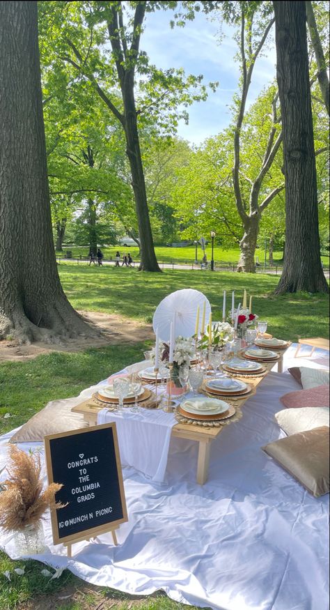 Aesthetic Picnic Setup, Grad Picnic Ideas, Convo Aesthetic, Senior Picnic Ideas, Graduation Party Tablescapes, Whimsical Graduation Party, Graduation Picnic Ideas, Small Grad Party Ideas, Picnic Business Ideas