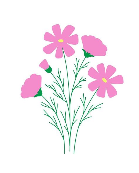 Light pink cosmos flower on white background. Romantic rustic floral illustration. Cosmos Illustration, Apple Outline, Flower On White Background, Lisianthus Flowers, Cotton Branches, Pink Cosmos, Branch Vector, Flower Flat, Line Art Vector