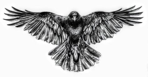 Crow Sternum Tattoo, Gothic Raven Tattoo, Raven Tattoo Back, Crow Back Tattoo, Crow Chest Tattoo, Raven Back Tattoo, Raven Wing Tattoo, Norse Dragon Tattoo, Raven Wings Tattoo