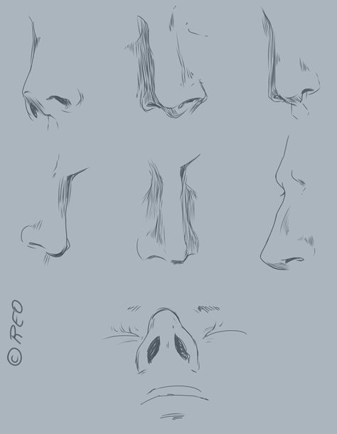 Guy Nose Drawing, Draw Nose, How To Draw Ears, Anatomy Tutorial, Nose Drawing, Art Theory, Human Drawing, Drawing Templates, Guided Drawing