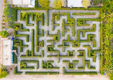 Garden Maze, Green Park, Aerial Photo, Top View, Adobe Stock, Stepping Stones, City Photo, Stock Photos, Outdoor Decor