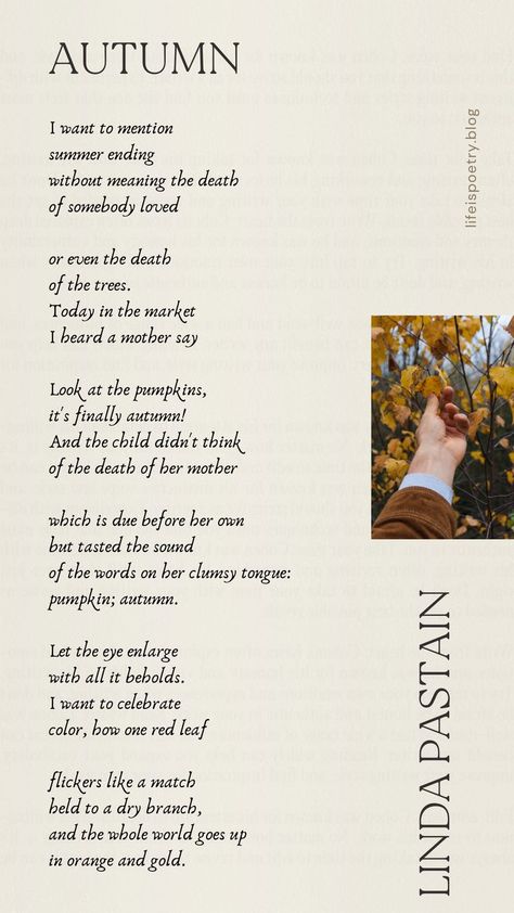 Fall Poems, Autumn Poetry, Fall Hygge, Autumn Poems, Lyric Poetry, Easy Hair Updos, Autumn Quotes, Unschooling, Falling Leaves