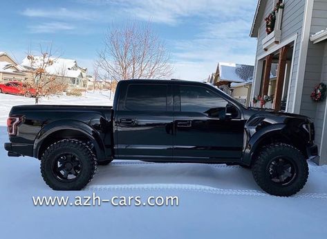 Ford 150, Fords 150, Muscle Truck, Factory Building, Ford Accessories, Ford F Series, Truck Stuff, Ford Raptor, Ford Truck