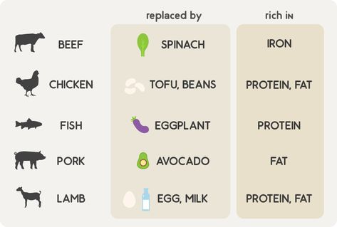 Vegetarian Tips, Being A Vegetarian, Go Vegetarian, Becoming A Vegetarian, How To Go Vegetarian, Going Vegetarian For Beginners, Substitute For Meat, How To Be A Healthy Vegetarian, Become Vegetarian