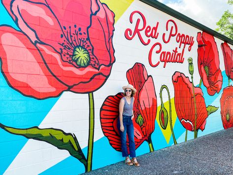 Georgetown's Most Instagrammable Murals Wall Murals Diy, Wall Murals Painted, Farm Stand, Some Girls, Red Poppies, Wall Murals, Wall Painting, Poppies, Street Art