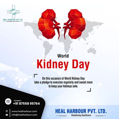 World Kidney Day, Quadrants Of The Abdomen, Kidney Donor, Essential Oils For Pregnancy, Human Body Temperature, Donate Life, Kidney Diet, Magnesium Benefits, Blood Sugar Diet