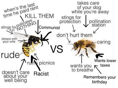 Bee Humor, Know Your Enemy, Bored Funny, Garden Plans, Save The Bees, Funny Funny, Know Your Meme, Wasp, Thirty One