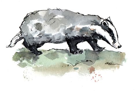 Badger Watercolor, Badger Drawing, Badger Tattoo, Painting Inspo, Watercolour Art, Pen Ink, Pen Drawing, Blue Moon, Hush Hush