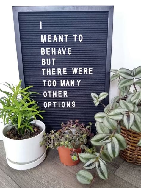 Mom Puns, Funny Letter Board Quotes, Funny Letter Board, Letterboard Ideas, Change Quotes Positive, Pegboard Ideas, Interaction Posts, Letterboard Signs, Letter Board Quotes