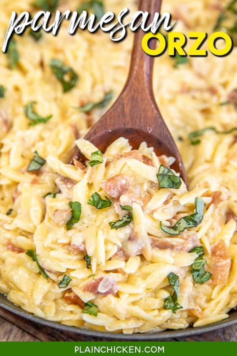 Creamy Parmesan Orzo Recipe - indulge in the delicious flavors of this creamy pasta! Orzo pasta, prosciutto, chicken broth, garlic, onion powder, and parmesan cheese. Whether served as a comforting main course or a side dish, this recipe is sure to impress. Pair it with your favorite protein and roasted vegetables for a complete and well-rounded meal. Creamy Parmesan Orzo, Pasta Prosciutto, Prosciutto Chicken, Plain Chicken Recipe, Parmesan Orzo, Prosciutto Recipes, Orzo Recipe, Pasta Side Dishes, Orzo Recipes