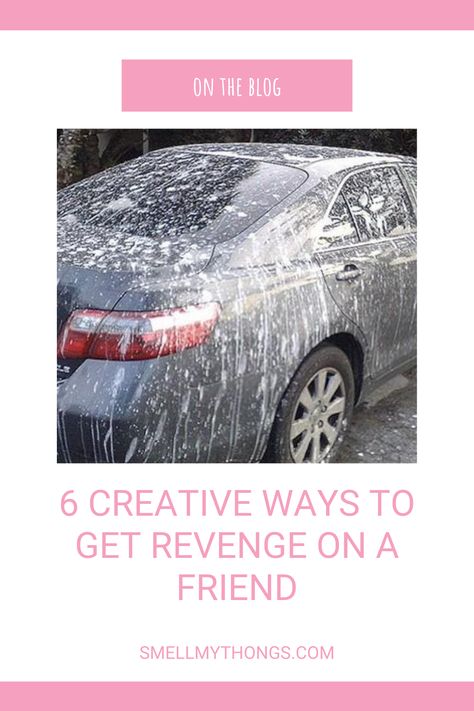 Mean Pranks Revenge, Car Pranks Ideas, Car Pranks, Ways To Get Revenge, Mean Pranks, Gift Prank, Funniest Pranks, Fake Birds, Text Pranks