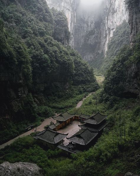 The Great Planet ™ on Instagram: “🌳 A hidden gem in China.  Credits: @vasilivorotnikov.  Tag: #thegreatplanet”