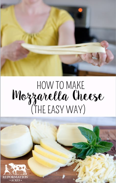 Make Mozzarella Cheese, Homemade Mozzarella Cheese, Home Made Cheese, Recipes With Mozzarella Cheese, Cheese Recipes Homemade, Cheese Making Recipes, Diy Cheese, Making Cheese, Cheese Butter