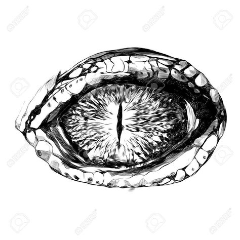 Reptile Eye Drawing, Snake Eyes Drawing, Eyes Drawing Simple, Lithography Printmaking, Snake Sketch, Realistic Eye Tattoo, Reptile Eye, Eye Sketch, Eyes Drawing