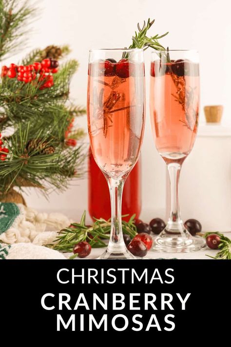 Cranberry Mimosas are a refreshing holiday cocktail, made with champagne and fresh cranberries. Garnished with rosemary, these Christmas mimosas are perfect for your next holiday party. Christmas Mimosa Bar, Cranberry Mimosa Recipe, Holiday Mimosa, Christmas Mimosas, Cranberry Mimosas, Best Mimosa Recipe, Cranberry Champagne Cocktail, Cranberry Mimosa, Cranberry Drinks