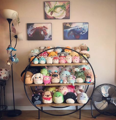 Plushie Display Shelves, Touched Deprived, Squishmellow Organization, Display Squishmallows, Squishmallow Decor, Squishmallow Organization, Plushie Display, Squishmallow Storage, Squish Mallows