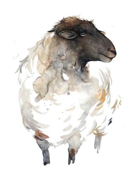 Sheep Paintings Easy, Sheep Drawing Illustration, Pictures Of Sheep, Equine Art Paintings, Watercolor Sheep, Farm Watercolor, Sheep Drawing, Sheep Paintings, Watercolor Paintings Of Animals