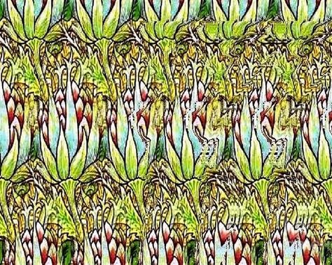 Artichoke Art, Picture Within A Picture, Hidden 3d Images, Optical Illusion Art, Optical Illusions Pictures, Magic Eye Pictures, Illusion Pictures, Hidden Images, 3d Pictures