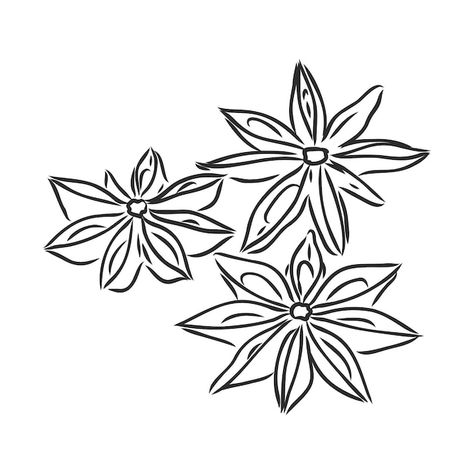 Indian Illustration, Mehndi Designs Bridal Hands, Star Tattoo Designs, Vector Line, Flower Sketches, Bullet Journal Lettering Ideas, Star Anise, Star Tattoos, Fashion Design Drawings