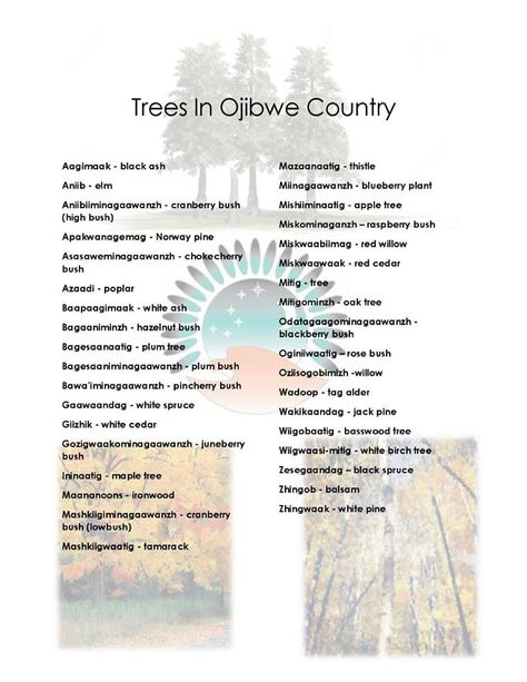 Ojibwe Quotes, Firekeepers Daughter, Anishinaabe Art, Indigenous Teachings, Ojibwe Language, Ojibwe Art, Wakan Tanka, Native American Language, Aboriginal Language