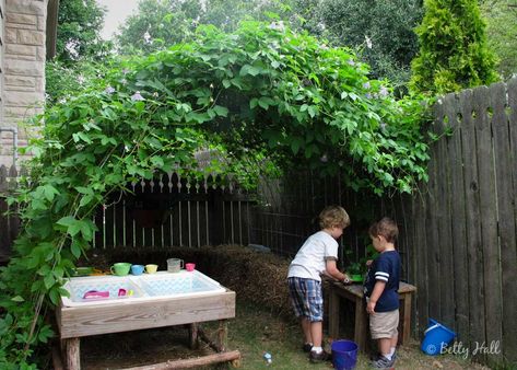 passionflower vine.  the owner said she planted 3 passionflowers in order to create that vine. Trellis With Bench, Trellis Ideas Garden, Passion Flower Plant, Outdoor Trellis Ideas, Garden Trellis Ideas, Yard Remodel, Passion Vine, Enchanted Gardens, Vine Trellis