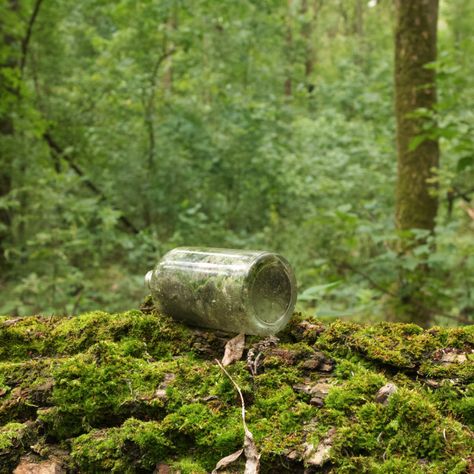 Plastic Pollution Photography, Environmental Pollution Pictures, Trash In Forest, Conservation Of Forest, Plastic Waste Management, Industrial Waste Water Pollution, Broken Bottle, Countryside Pictures, Outdoor Park