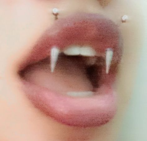 Angel Peircings, Lip Fang Piercing, Vampire Fang Piercing, Vampire Peircings, Vampire Lip Piercing, Vampire Fangs Piercing, Vampire Fangs Piercings, Angel Fang Peircings, Angel Bites Piercing Aesthetic