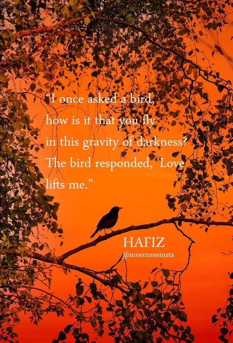 Hafez Poetry, Hafiz Poems, Hafiz Poetry, Hafez Poems, Hafez Quotes, Persian Literature, Hafiz Quotes, Sufi Music, Persian Princess