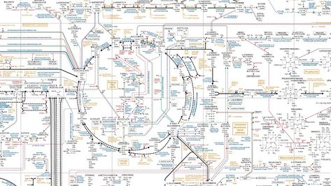 Wink Wink, Chemical Reactions, Research Institute, Sustainable Business, Biochemistry, Life Path, Science Education, Business Strategy, Sustainability