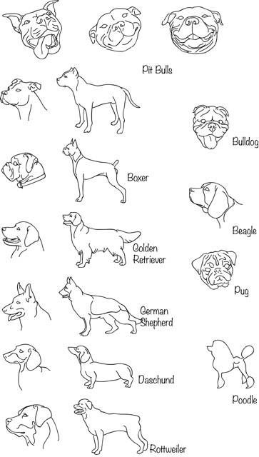 Dog Tattoos Pitbull, Small Rottweiler Tattoo, Simple Rottweiler Tattoo, Dog Tattoo Rottweiler, Simple Pitbull Tattoo Outline, Linear Dog Tattoo, Pitbull Fine Line Tattoo, Golden Doodle Ears Tattoo, Fine Line Pet Portrait Tattoo