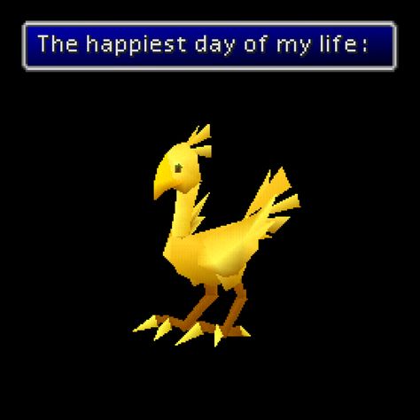 Final Fantasy Chocobo, Ff Game, Final Fantasy Funny, Yip Yip, Cloud Strife, Im Going Crazy, Final Fantasy Vii, Day Of My Life, Kingdom Hearts