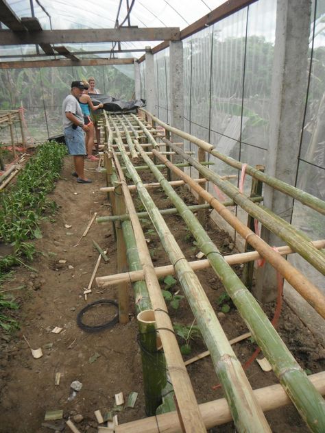 #Bamboo is used to set up the frame for a Hydroponic System at a local school Fall Decor Ideas For Kitchen, Fall Decor Crafts, Bamboo Building, Aquaponics Fish, Aquaponics Diy, Crafts Fall, Hydroponics Diy, Hydroponic Growing, Hydroponic Plants