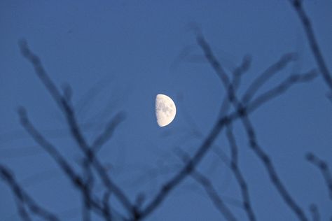 Photographed by @kailadphoto Northeastern Pennsylvania Full Moon | Moon | Moon Aesthetic | Late Night | Black | How to Photograph the Moon | Night Photography | Night Aesthetic | Astrophotography | Photography | Lowlight | Moon Phase | Moon Rise | Moon Art | Moon Pictures | Moon Wallpaper | Moon Quotes | Moody Moon | Peaceful Moon | Indie | Love | Winter | First Quarter Moon | Blue Moon | Moon Phase Cycle | Winter Moon | First Quarter Moon Aesthetic, Aesthetic Late Night, Indie Love, First Quarter Moon, Photographing The Moon, Wallpaper Moon, Quarter Moon, Winter Moon, Moon Quotes