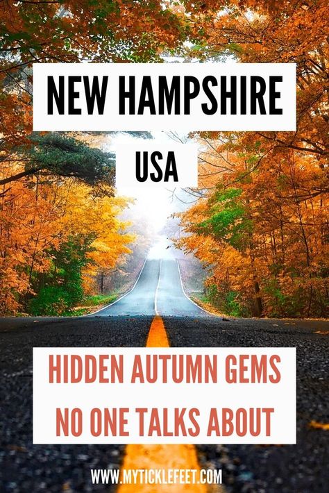 Autumn Road Trip, Fall Foliage Trips, Fall Foliage Road Trips, Travel Restaurant, England Travel Guide, Travel Flight, New England Road Trip, Usa Roadtrip, Flight Travel