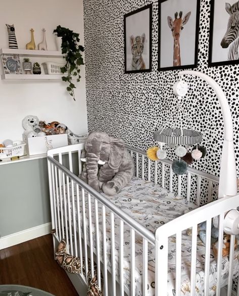 Dalmatian Room, Dalmatian Nursery, Dalmatian Wall, Baby Room Themes, Nursery Room Inspiration, Dalmatian Puppy, Dalmatian Print, Safari Nursery, Nursery Ideas