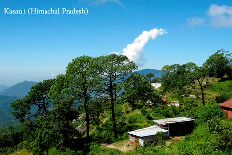 Unexplored Kasauli Himachal Pradesh. Travel This Beautiful Place  call us for best holiday deals on +91 98104 17771 / 72  write us on info@barizaholidays.com ‬ or visit : www.barizaholidays.com Landsdown Uttarakhand, Lansdowne Uttarakhand, Pauri Garhwal, Indian Things, Indian Travel, Honeymoon Places, Exotic Beaches, Best Honeymoon, Travel Company